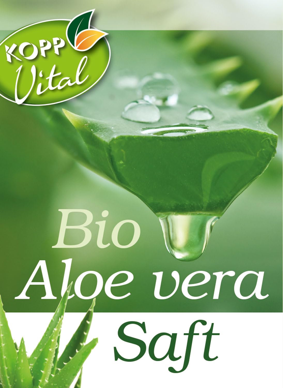 KOPP Vital Kennenlern-Biosaftbox, 4 Flaschen à 1 Liter