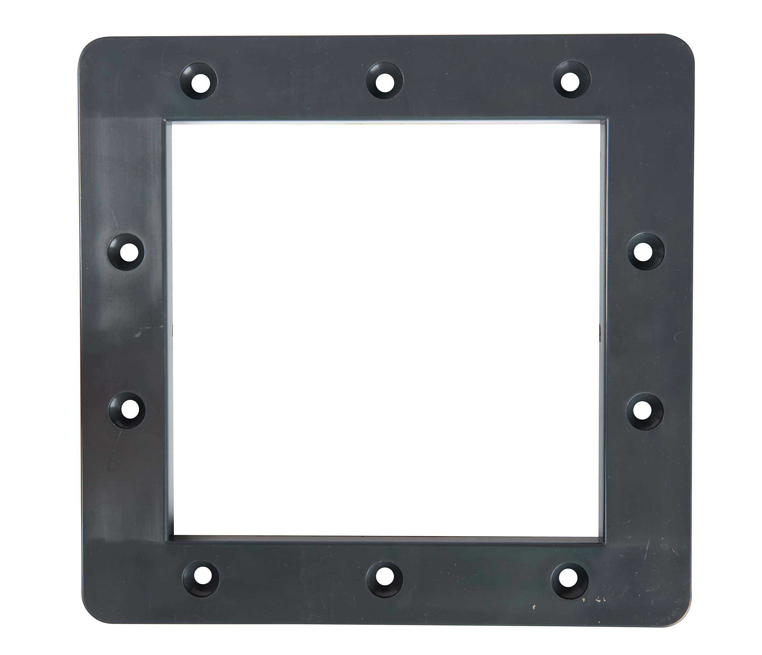 Steinbach Skimmer 060960G - Skimmer con Bocchetta, Colore: Antracite