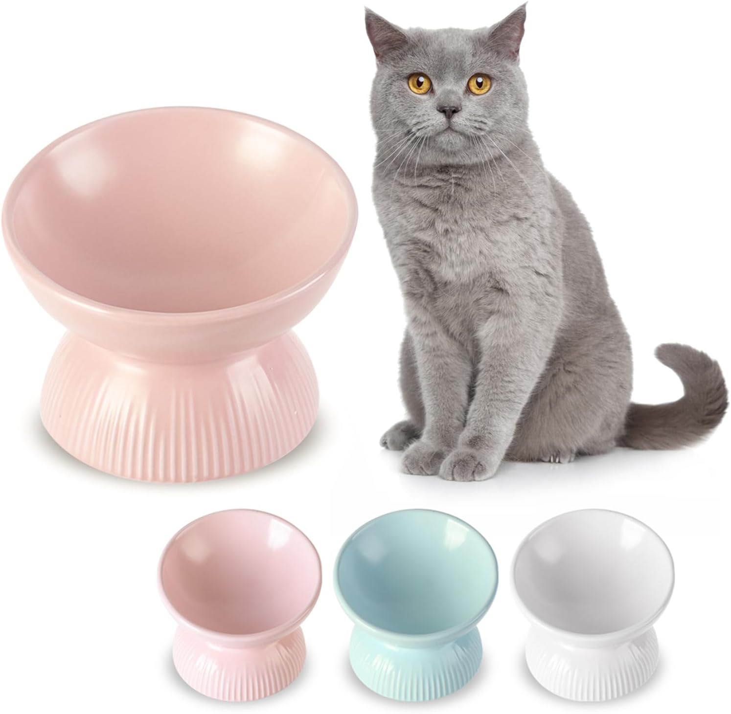 3PCS Raised Cat Bowl, Elevated Cat Bowls with Stand Tilted, Anti Vomit