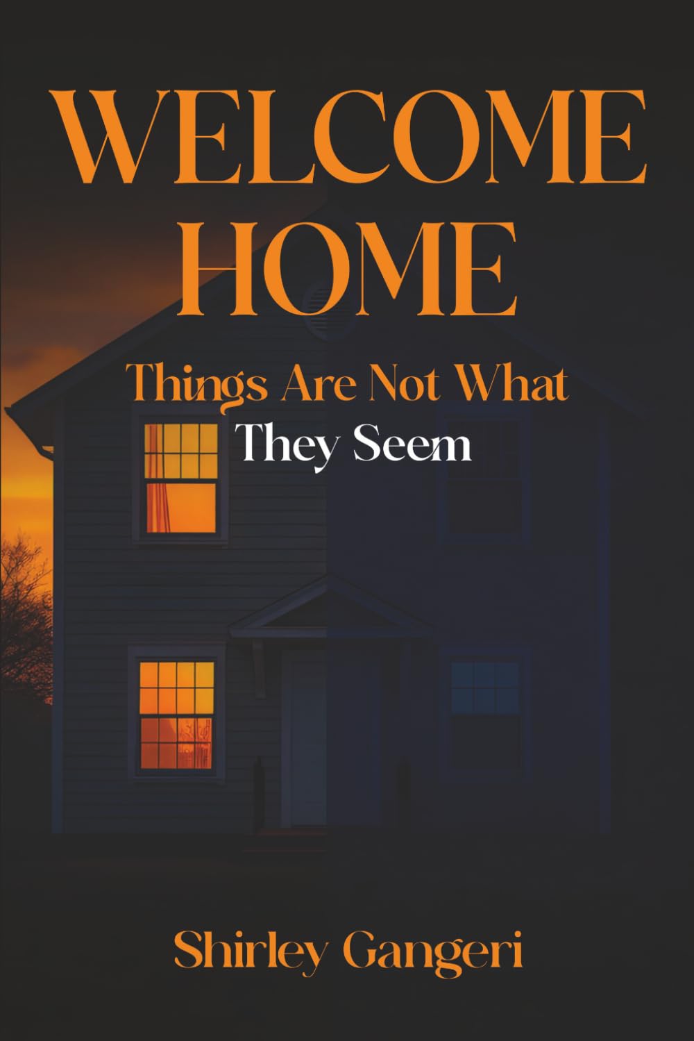 Welcome Home: Things Are Not What They Seem (English Edition)