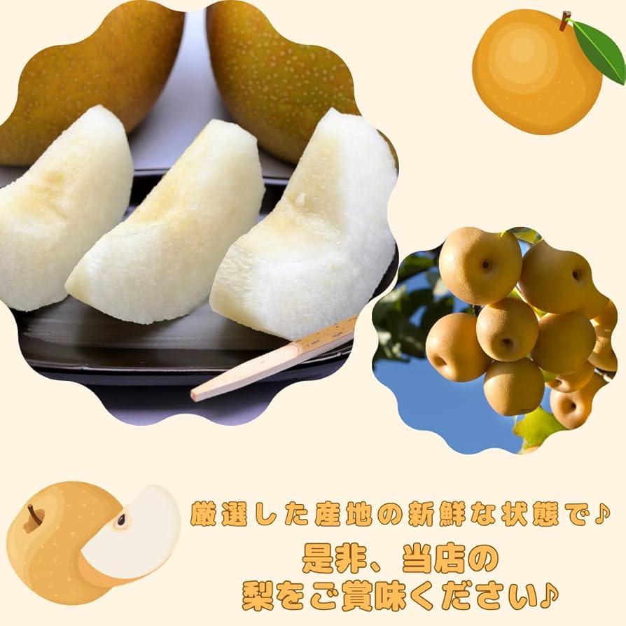 Amazon.co.jp: 【MSKSHOP】梨 なし 産地厳選 幸水梨 新水梨 南