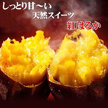 紅はるか　sun sun Sun visor Volvo 140/Volvo 240 1967-93 red - CVR