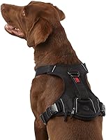 Vista 1 de KONG Ultra Durable Waste Bag Harness (Large, Black)