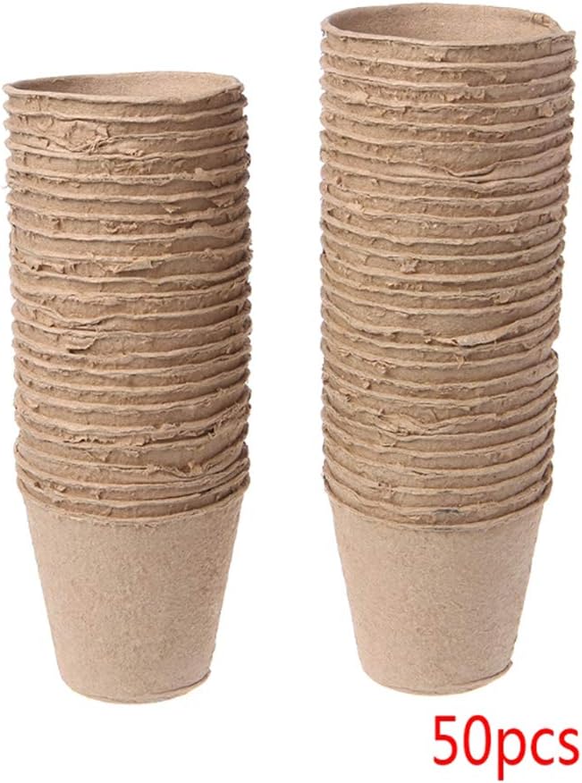 vaso per l'antipasto a lievitazione naturale