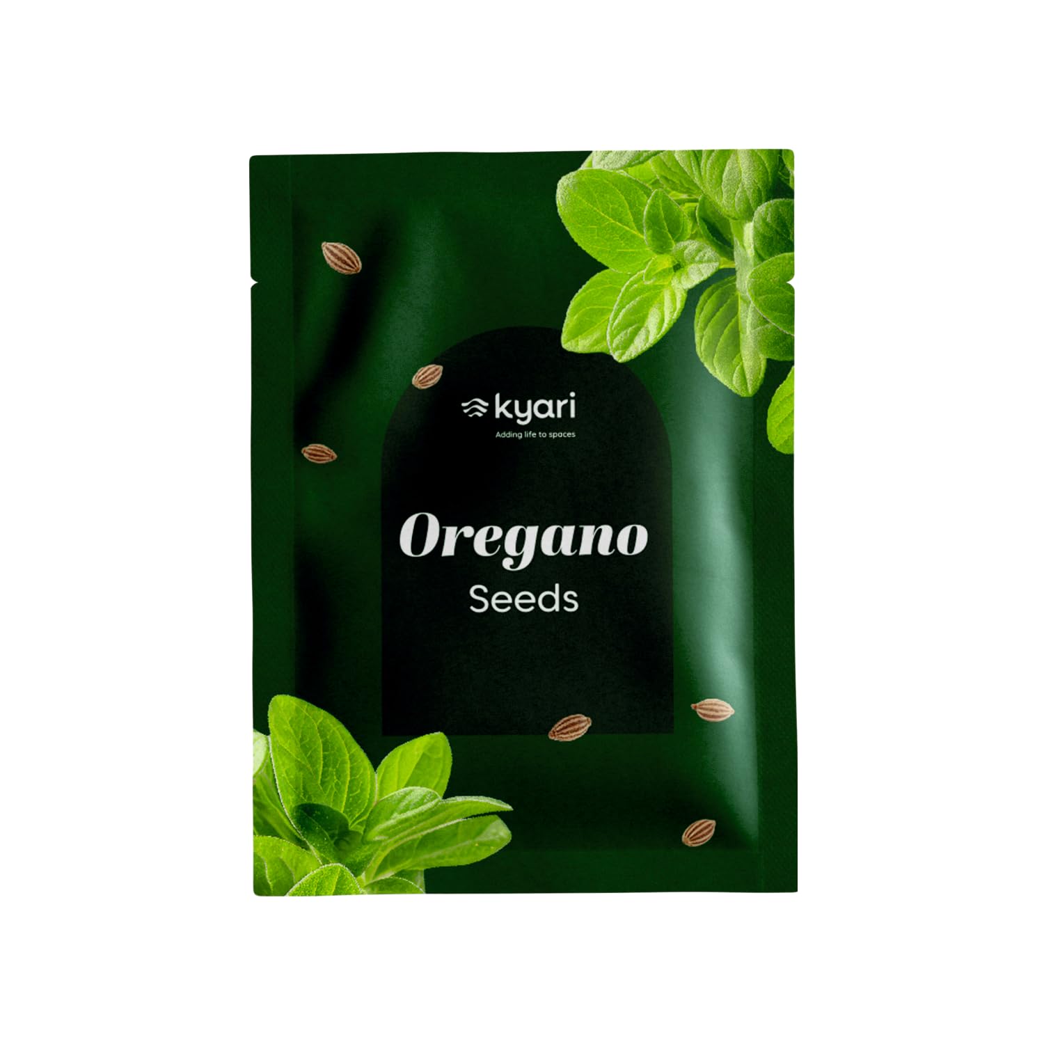 Kyari Tulsi Seeds - Holy Basil Herb Seeds -9