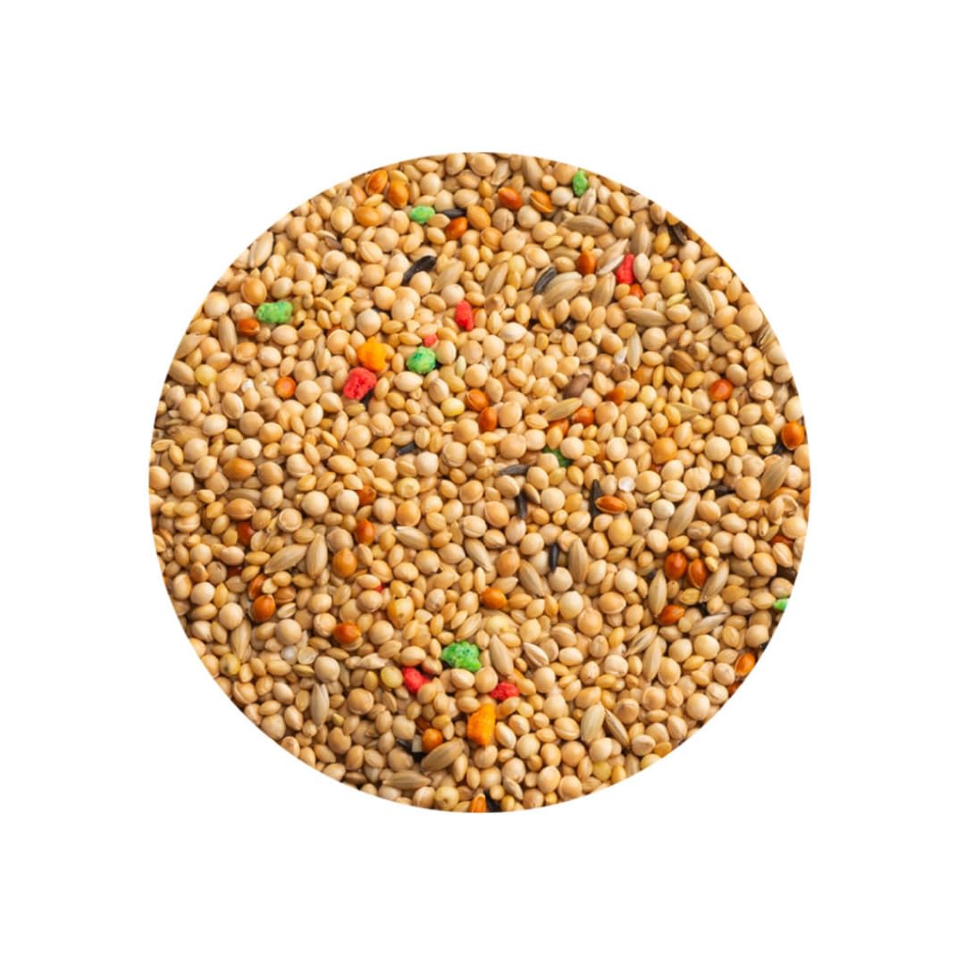 Pet Cup Mezcla Clásica para Pájaros Exóticos 20 kg