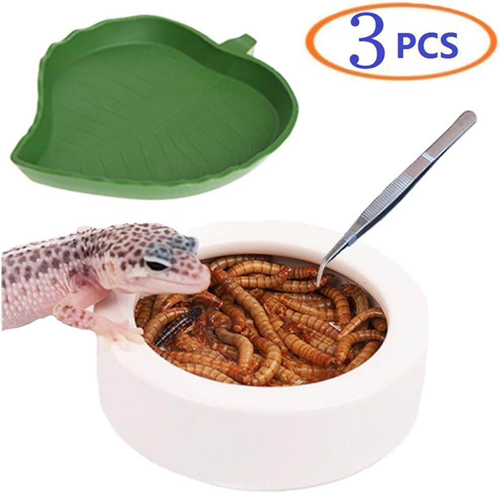 Tfwadmx Reptile Water Bowl, Medium - Ceramic Worm Dish Feeding Food Bowl with Tongs for Crested Gecko Lizard Turtle Bearded Dragon…