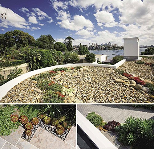 Design de jardin résidentiel pour structurer un terrain en friche sans relief