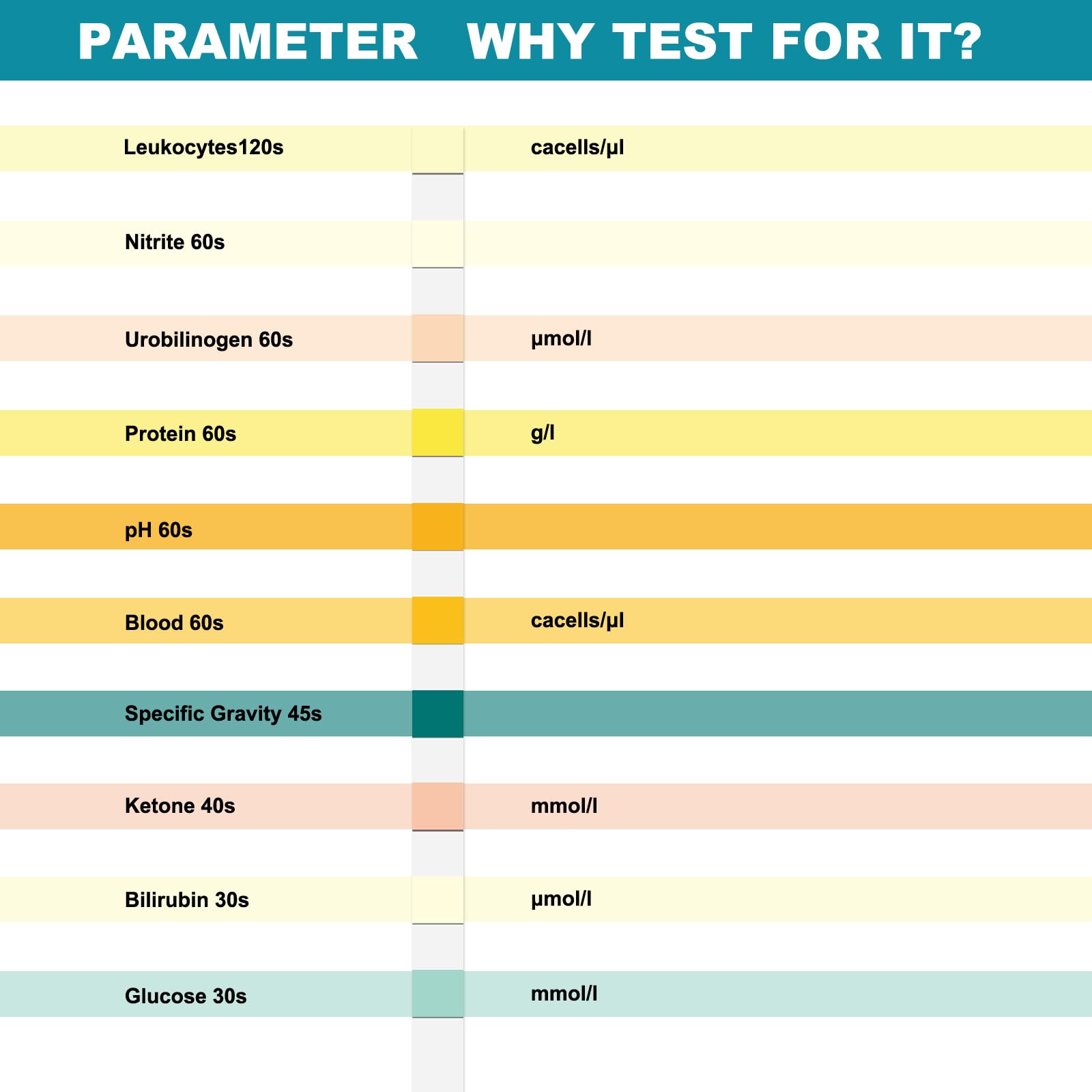 125 Strips 10-in-1 Urine Test Strips for Urinalysis 10 Parameters - Fast Testing Kit for Kidney, Liver, UTI, Ketone, Protein +9 More - 3