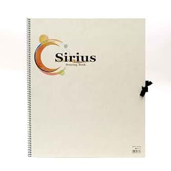 聖橋から 水彩画 　サイズF10 聖橋から 水彩画 サイズF10 聖橋から見た風景 水彩画 サイズF10