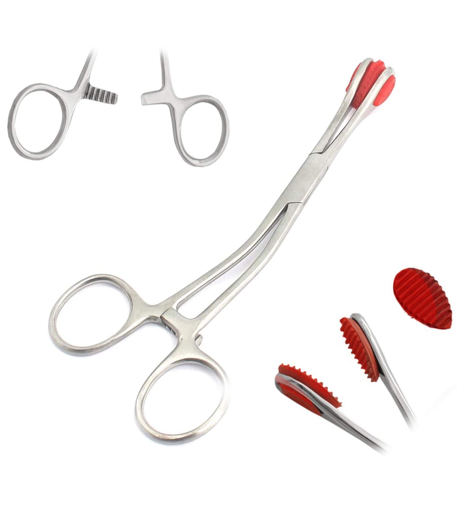 Young Tongue Forceps - 6.5" Stainless Steel -1