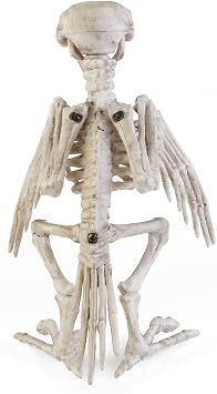 Crazy Bonez Skeleton Raven