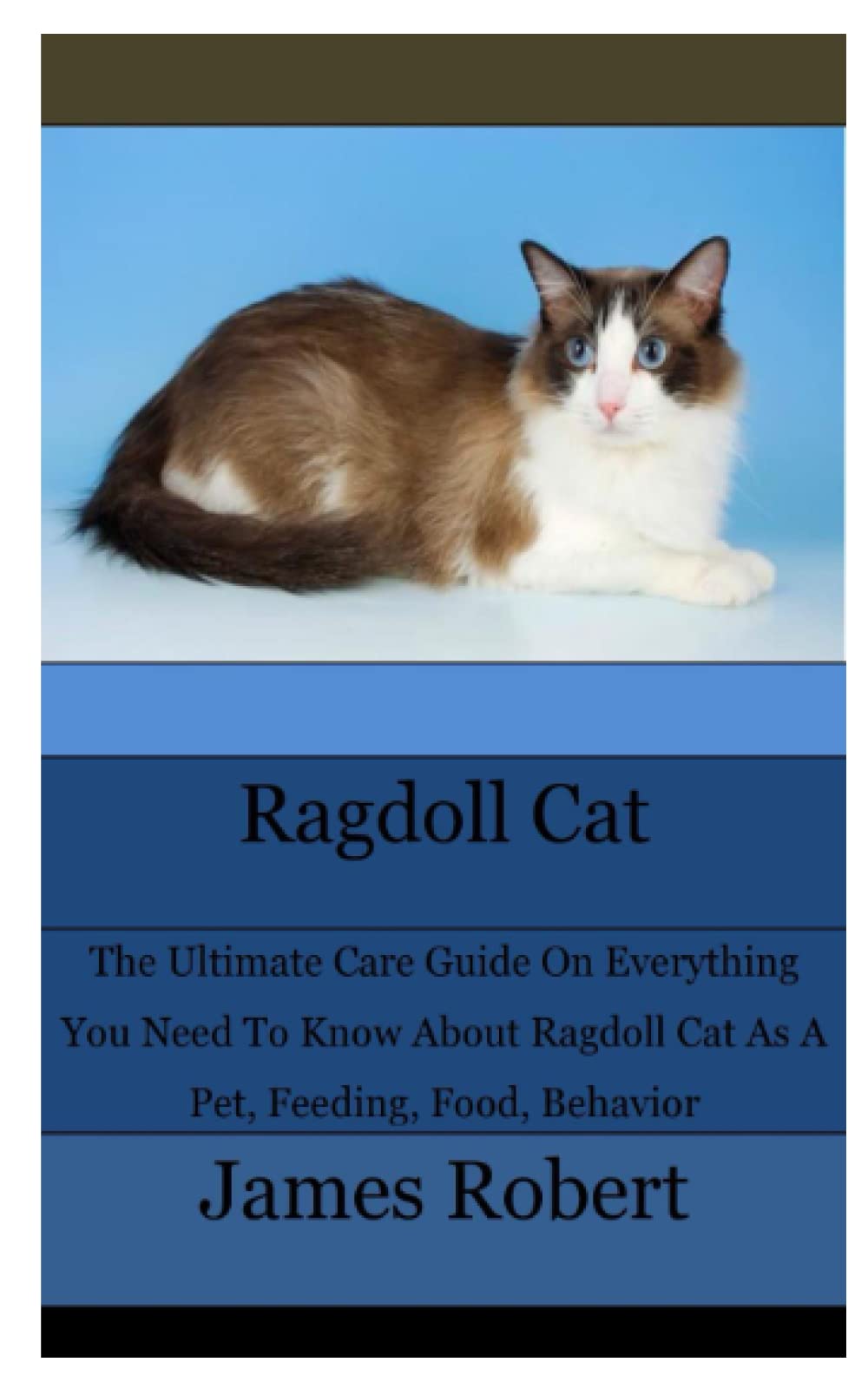 Buy Ragdoll Cat The Ultimate Care Guide On Everything You Need To Know