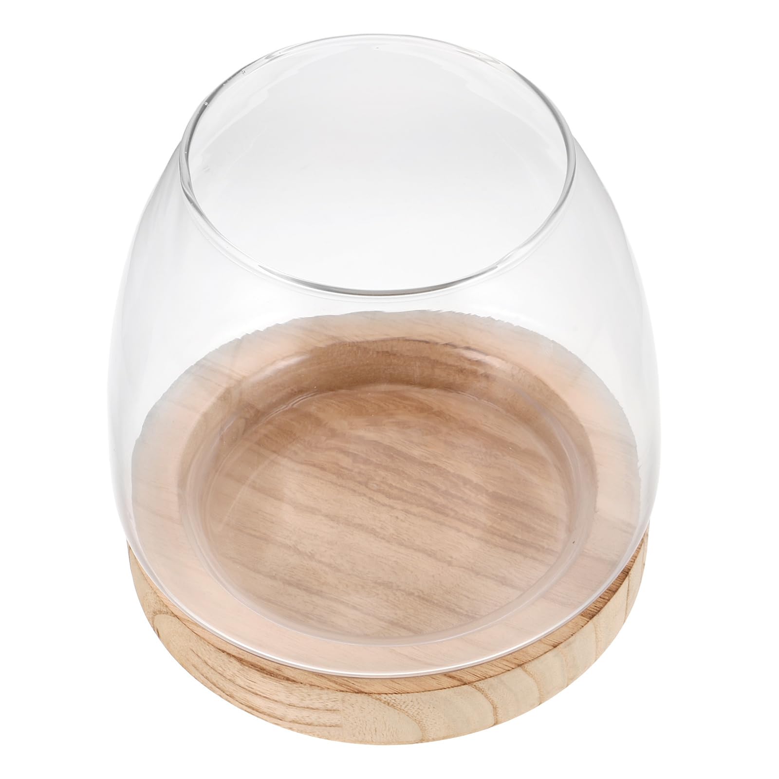 GLEAVI Vase en Verre Hydroponique avec Base en Bois, Station de Propagation pour Plantes et Herbes, Design Moderne et Élégant, Cuisine ou Comptoir