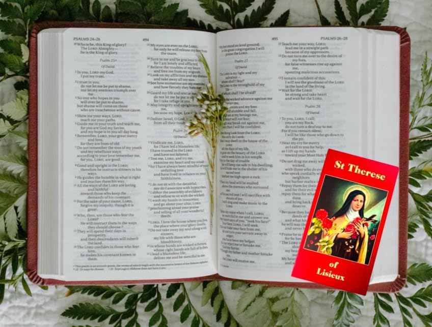 Westmon Works St Therese of Lisieux Holy Card Set with Saint Prayer Made in the USA, Pack of 10 - Image 4