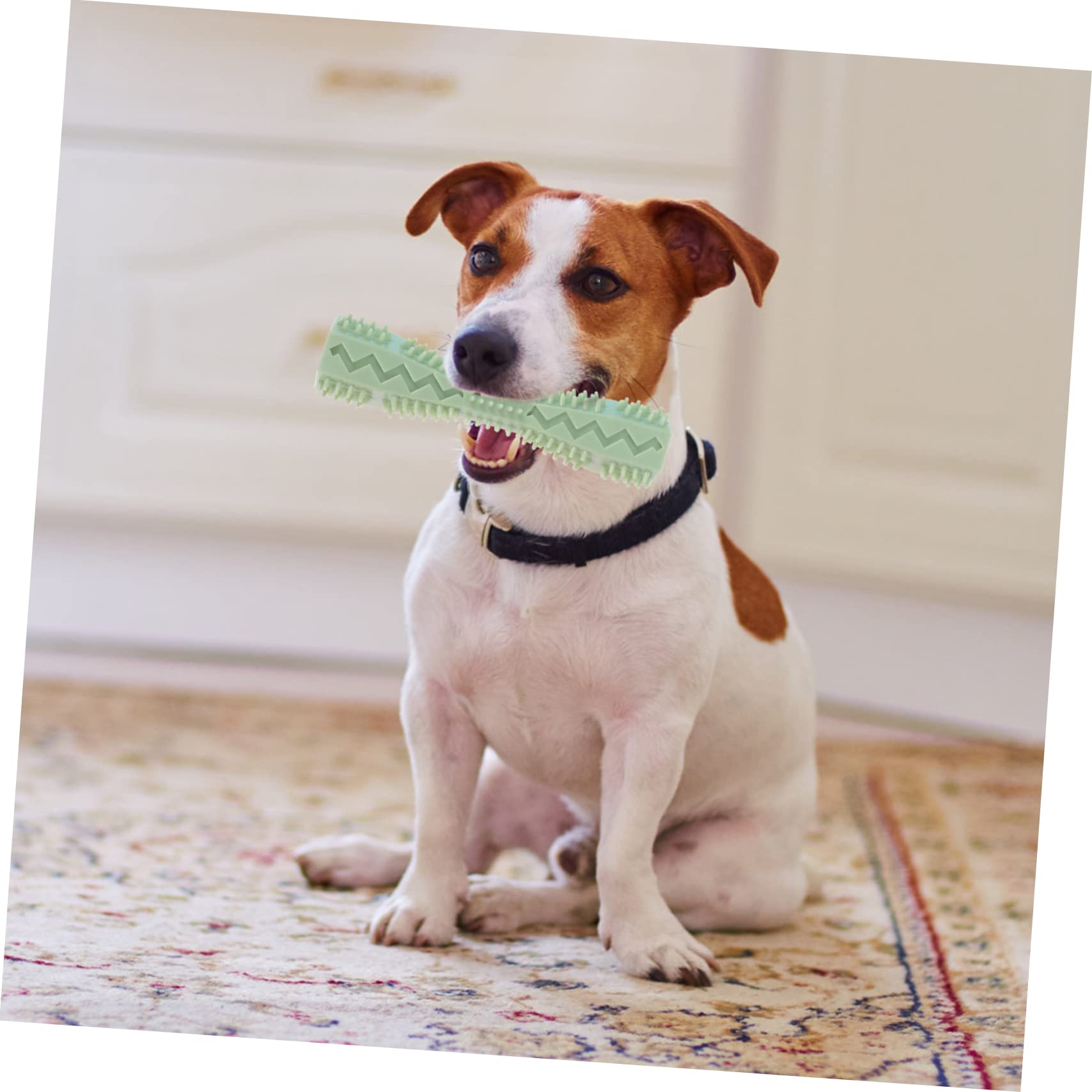 BESPORTBLE 9pezzi Giocattoli Masticabili Per Cani Giocattoli Per Cuccioli Resistente Molar Plaything Per Pet e Perfetti Per Allenare Denti e La Noia