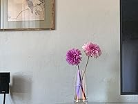 Review Image by Robert Ford Robert Ford