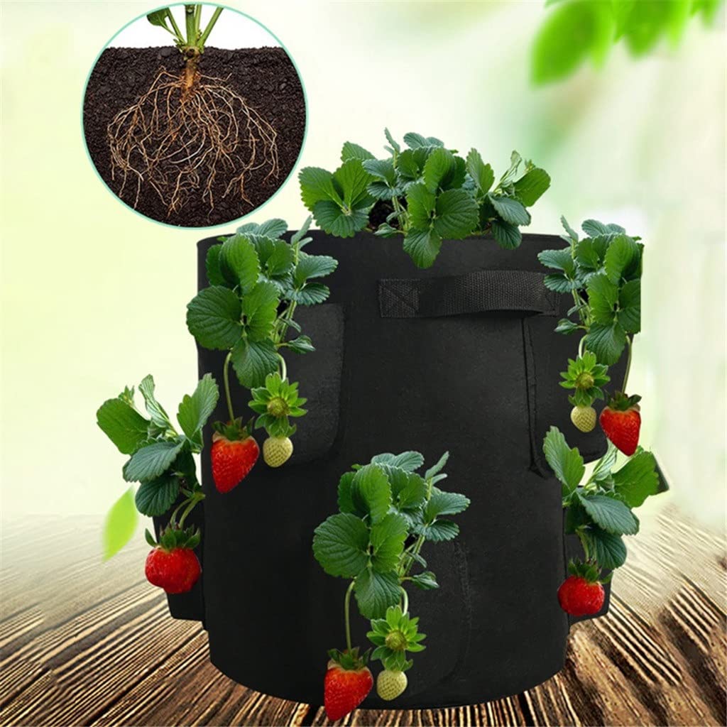 Sacchi Per Piante In Tessuto Non Tessuto - Grow Bags Da 1 A 20 Galloni | Scegli Misura E Confezione (1/3/5/10 Pezzi)
