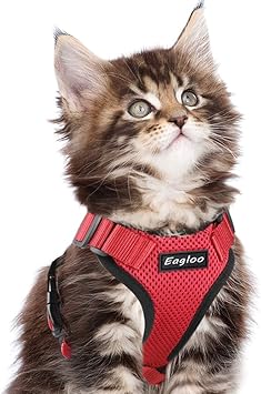 eagloo cat harness