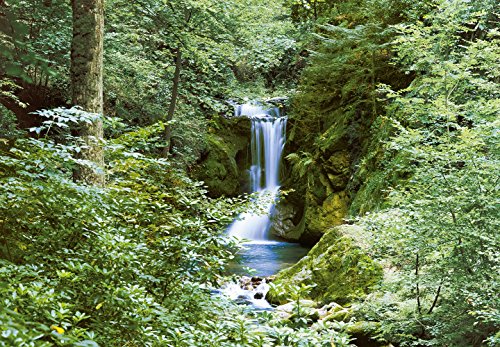 Exclusive Discount 50% Price Komar DM279 Ideal Decor Waterfall In Spring 8-Panel Wall Mural