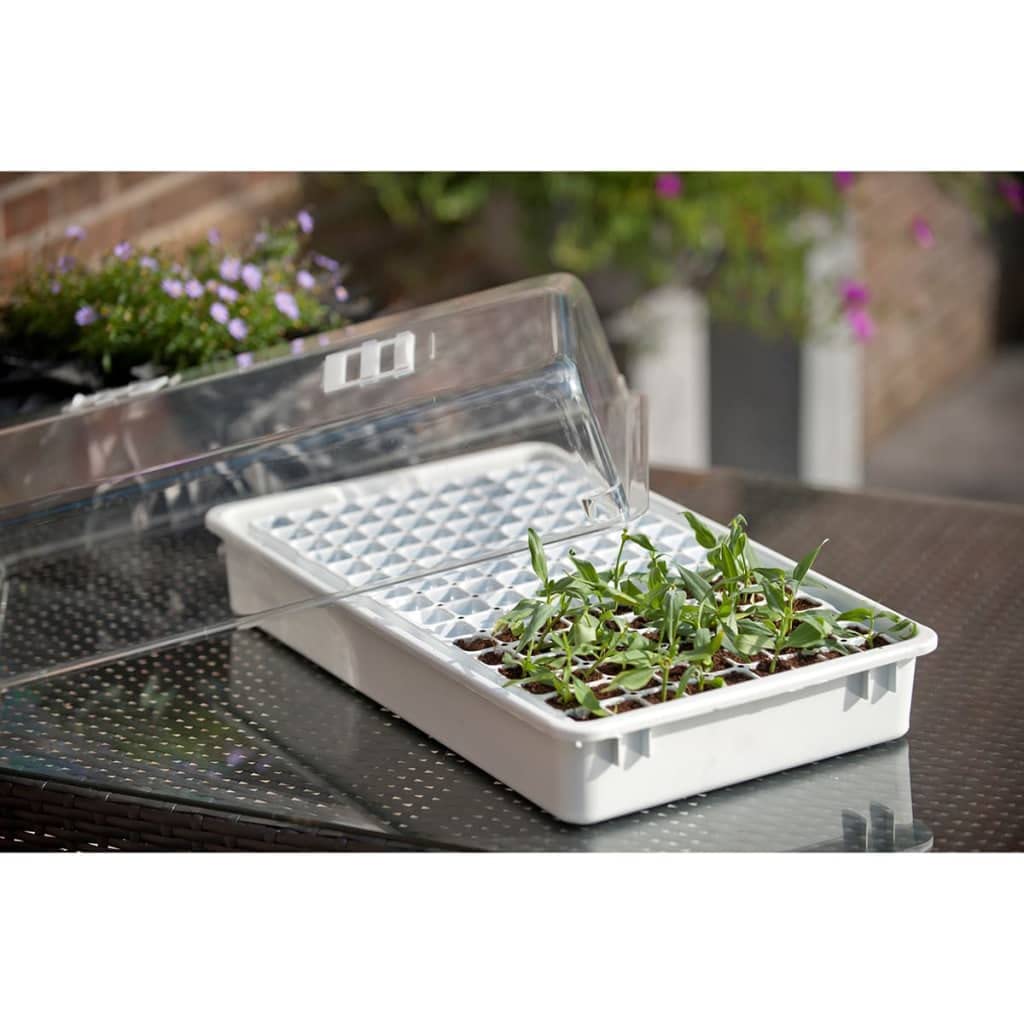 Kits de cultivo de plantas y hierbas - Plantas -Nature Propagator Set 55x31x22 cm 6020203