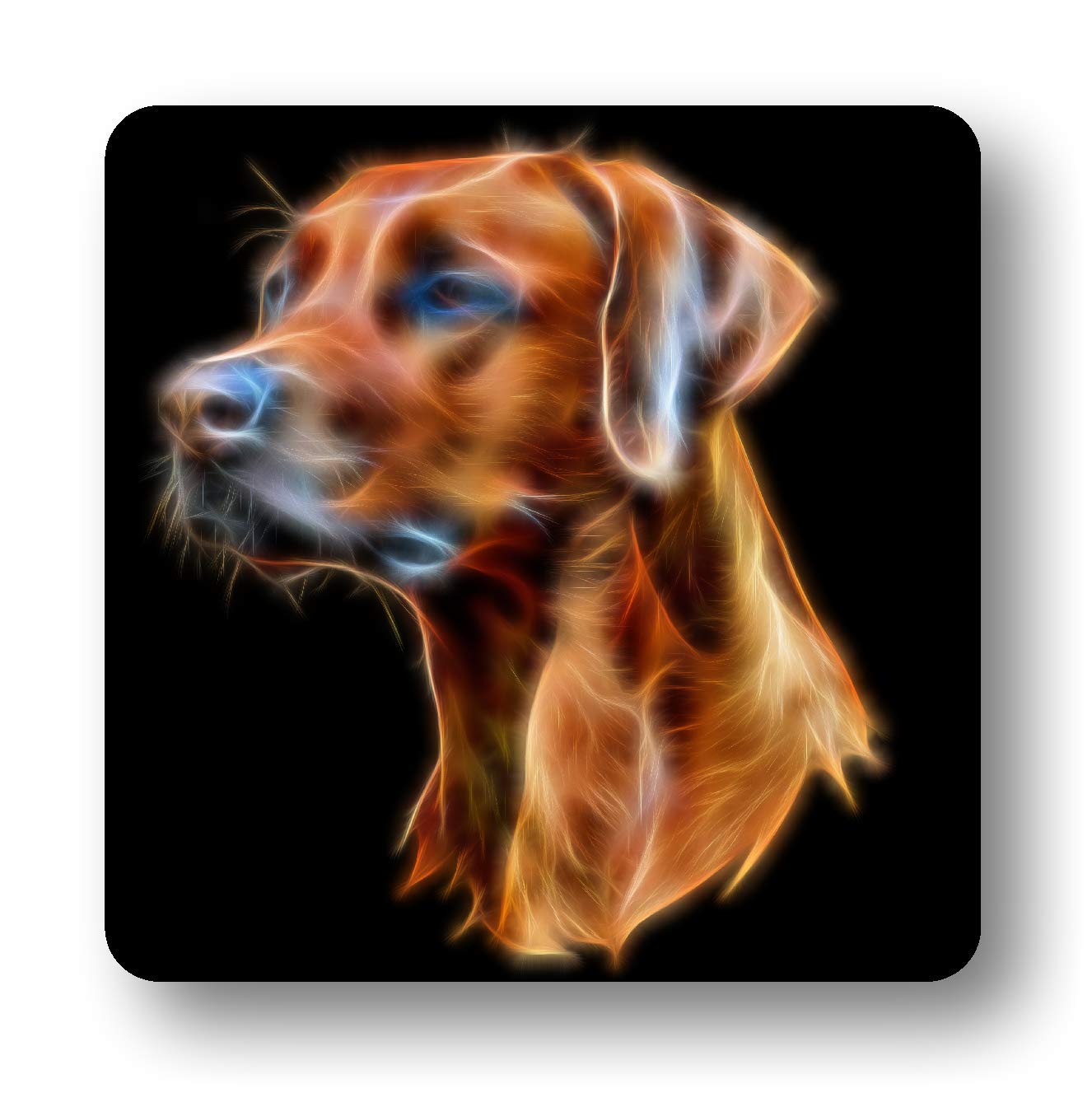 Fractal Artworks Rhodesian Ridgeback Coaster with Stunning Fractal Art Design