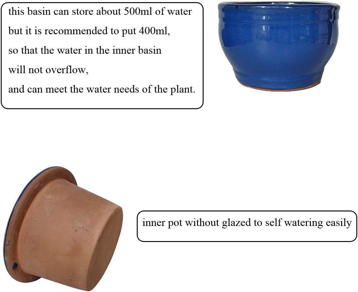 Blue African Violet Pots Round and Hexagon