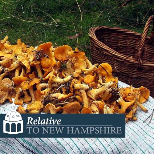 『Produce Safety with Mary Saucier Choate and Heather Bryant』のカバーアート