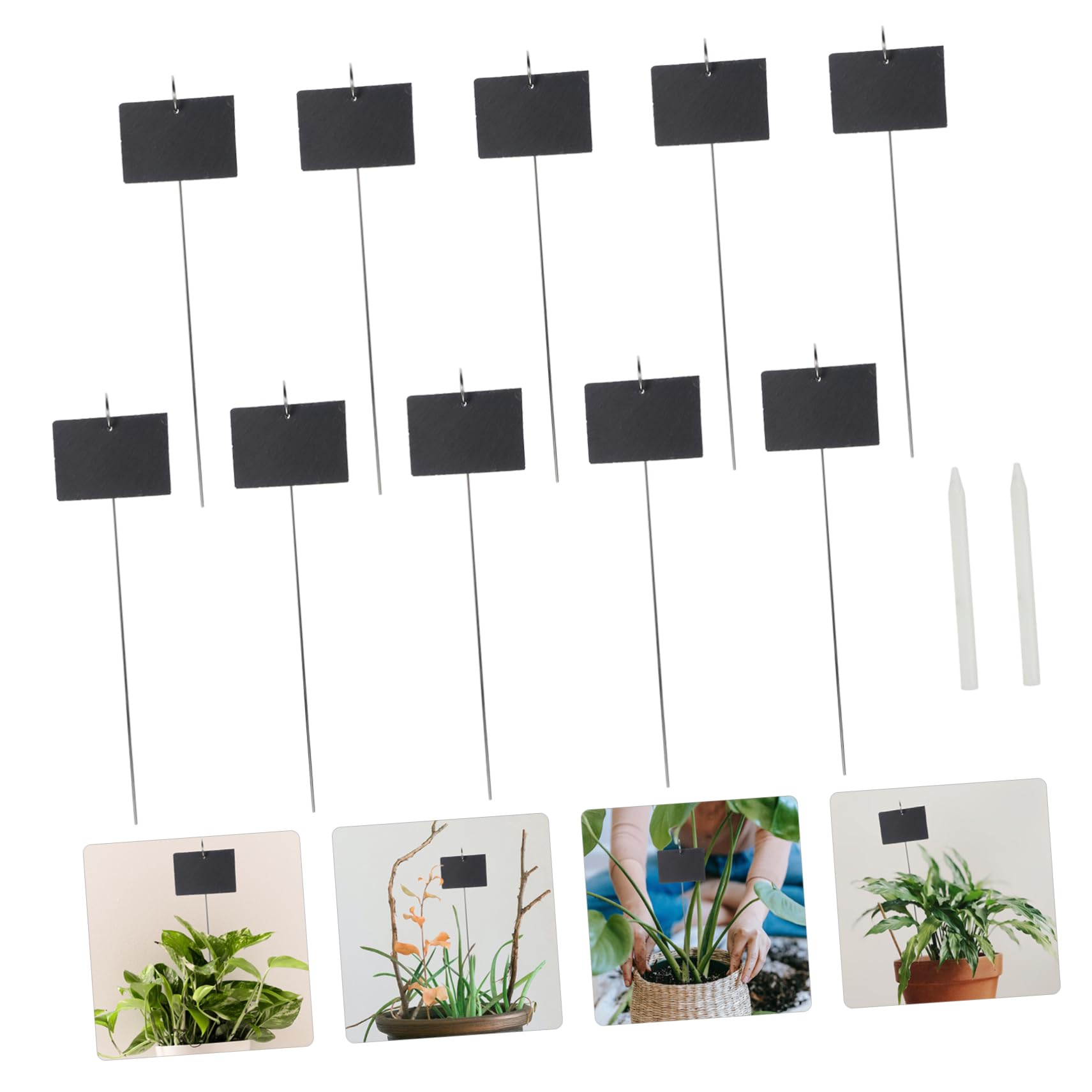 BESPORTBLE 1ensemble Étiquettes De Plantes Inoxydable De Marqueurs De Jardin Décorations De Jardin Uniques Pour Pots De Fleurs Et