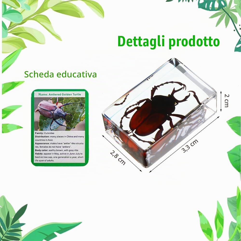Collezione di Insetti in Resina, un gioco educativo di esemplari di insetti per bambini, perfetto per la scuola materna, le scienze in classe e le mostre domestiche (20 modelli di insetti)