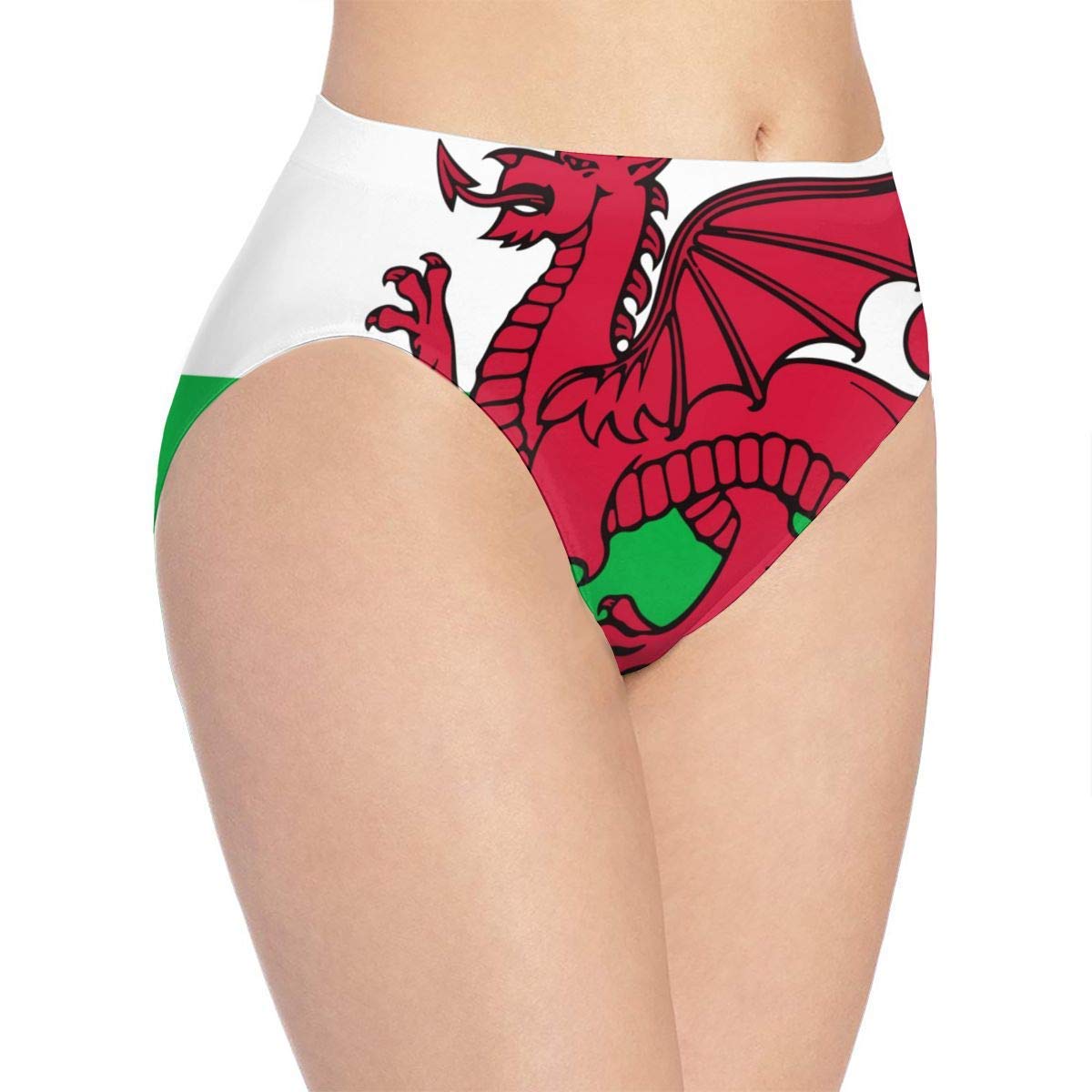 XCNGG Welsh-Flag Women's Underwear Panties Briefs Underpants Knickers
