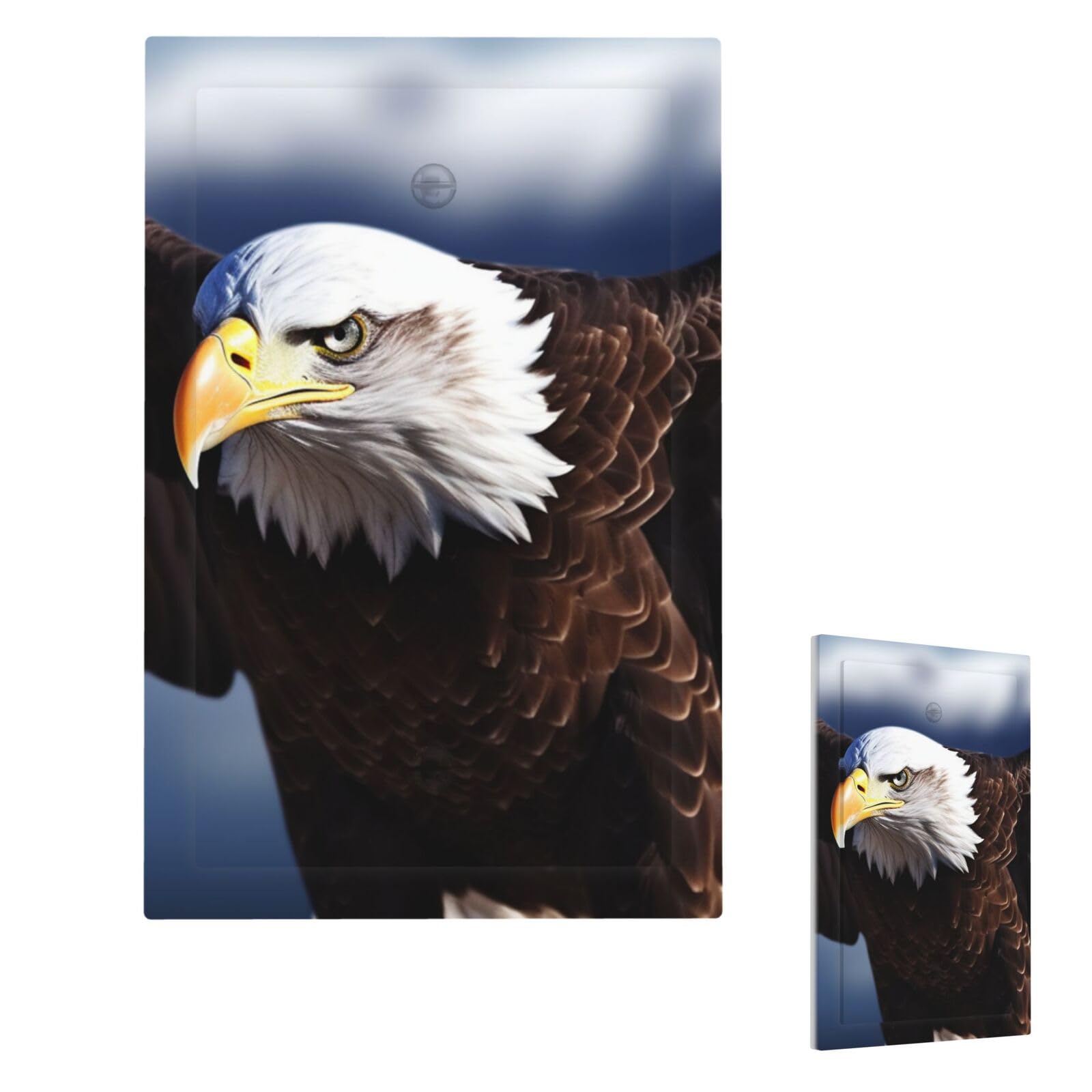 Fekiloot Single Blank Eagle Wall Plate Cover Modern Decorative 1 Gang Light Switch Cover Unbreakable Receptacle Outlet Covers For Living Room Bedroom Home Decor