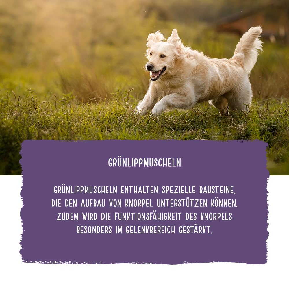Chicopee Classic Nature Line | Soft Senior | Hundefutter halbfeucht | Mit Huhn & Reis | Weizenfrei & Soft-Krokette | Bedarfsgerechtes Life-Cycle-Konzept | Inspiriert von der Natur Kanadas | 15 kg