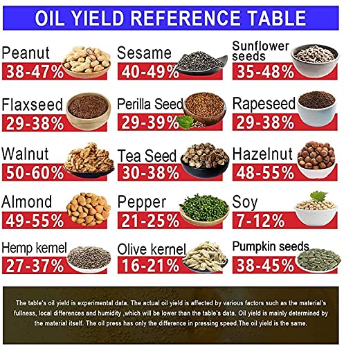 Extrator automático de óleo de porcas quentes frias máquina de prensa de óleo de aço inoxidável Expu