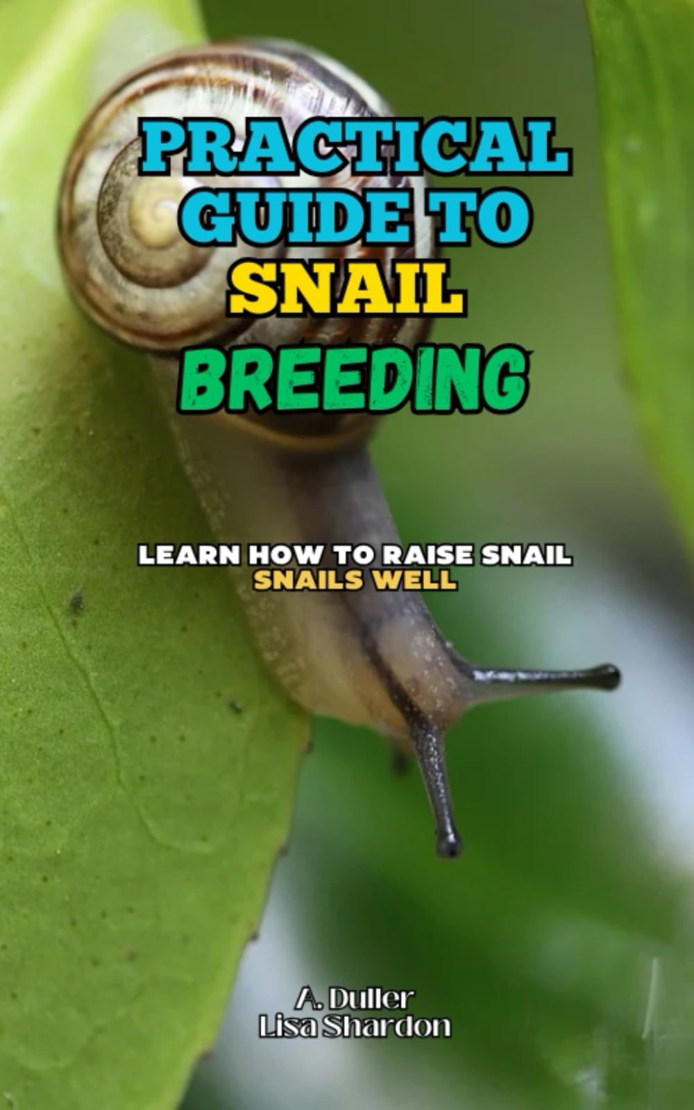 Practical Guide to Snail Breeding: Learn how to raise snail snails well