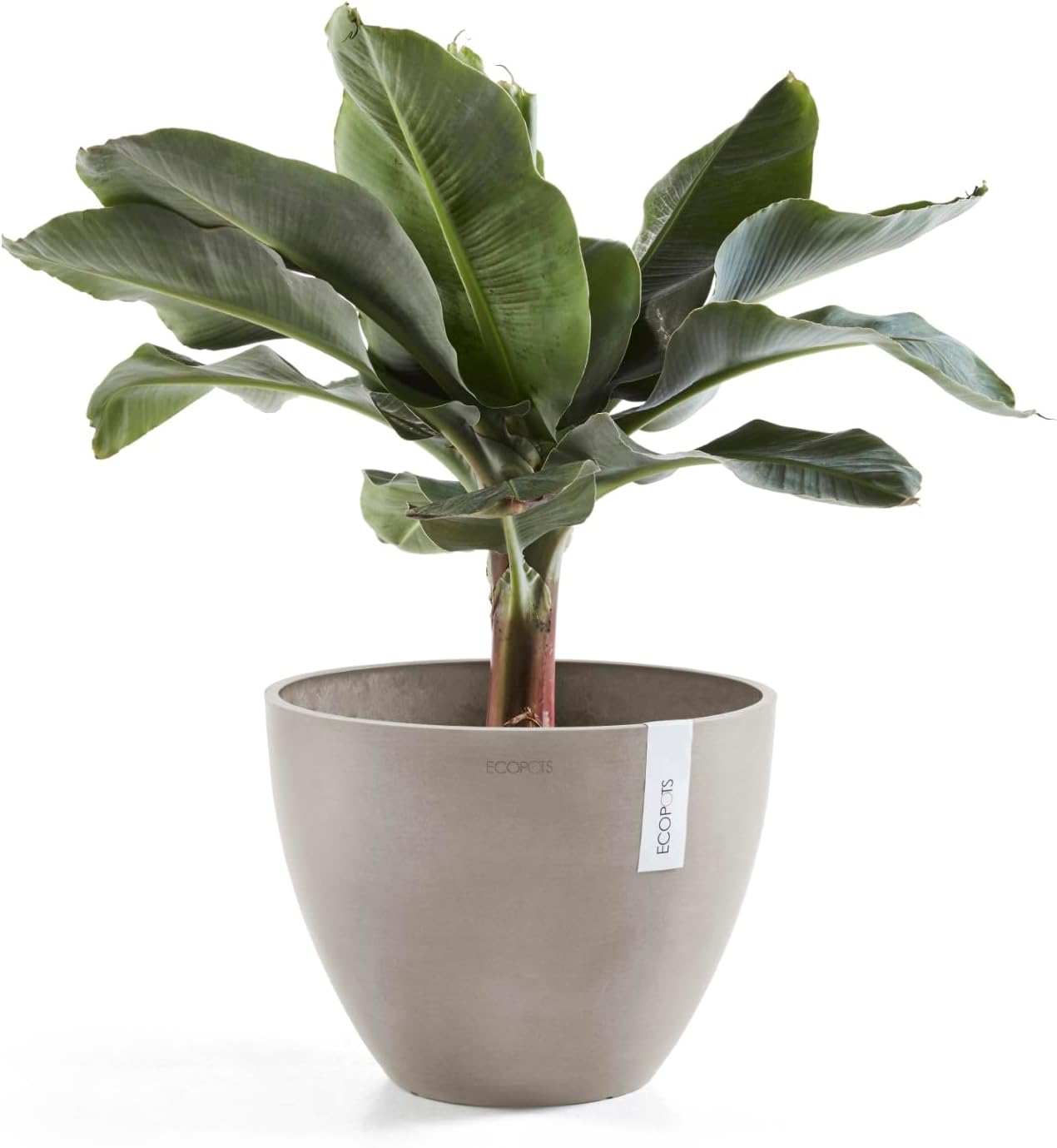 Ecopots Antwerp Durable Modern Round Indoor/Outdoor Recycled-Based Composite Flower Pot Planter, Taupe, 16"