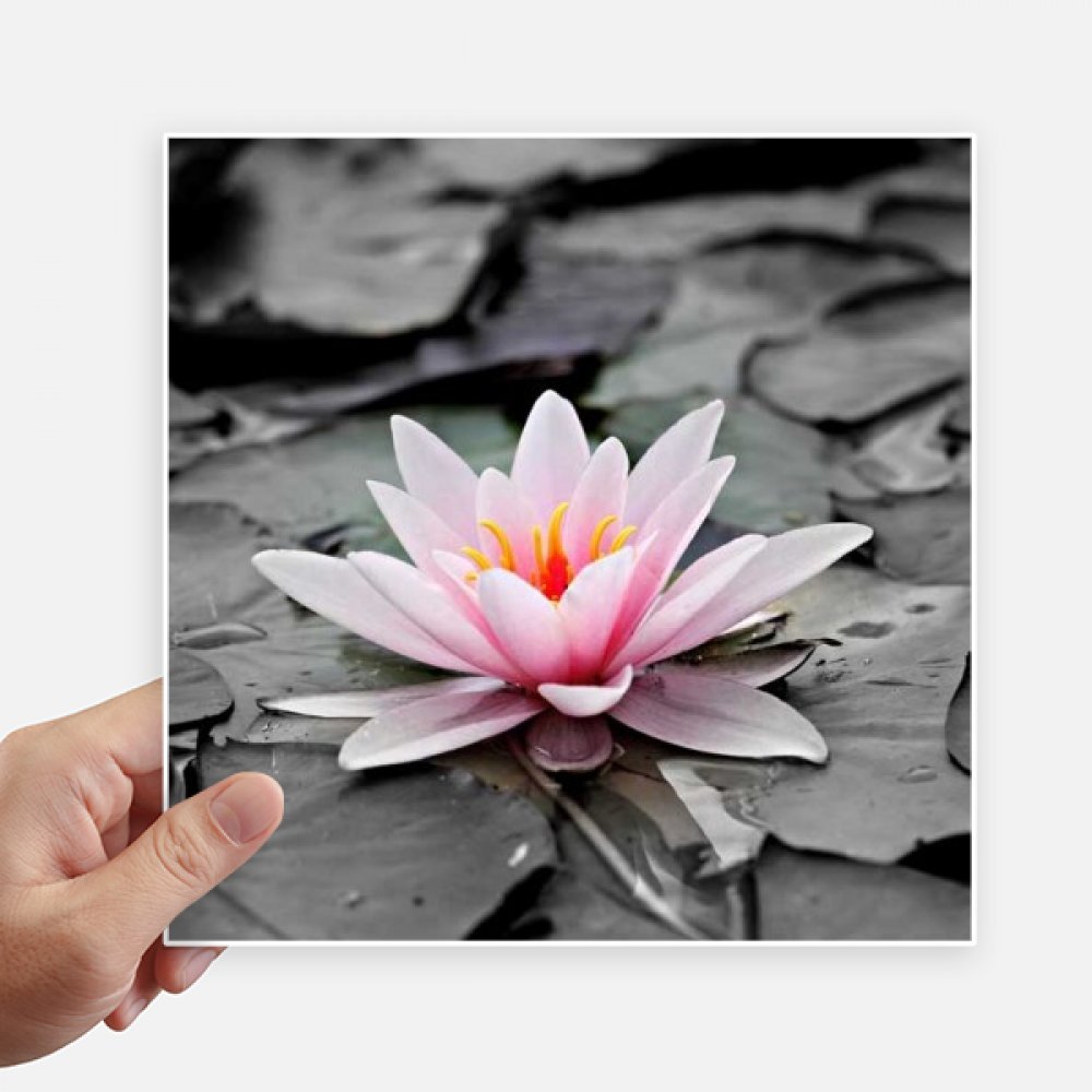 Autocollant carré 20 cm fleurs roses et lotus décoratif pour PC et moto