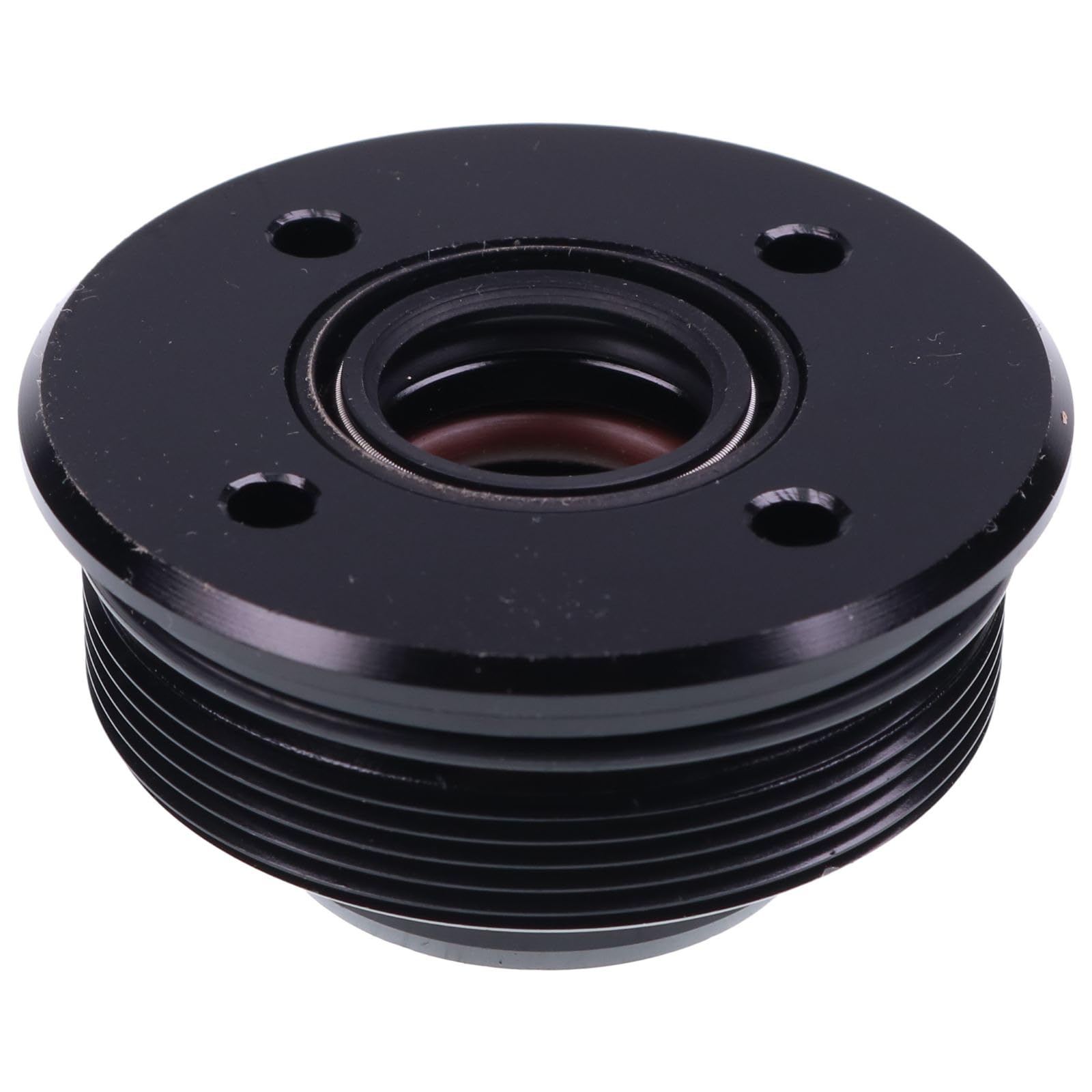 RONGPAS Trim Cylinder End Cap 61A-43811-00-00 61A438110000 FSM022 Compatible with Yamaha 225-220HP V6 3.3L