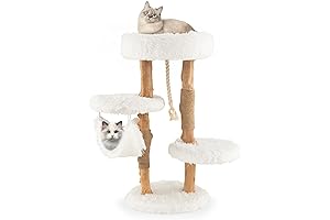 Bohemian Rhapsody Cat Haven: An Oasis for Your Feline Friend