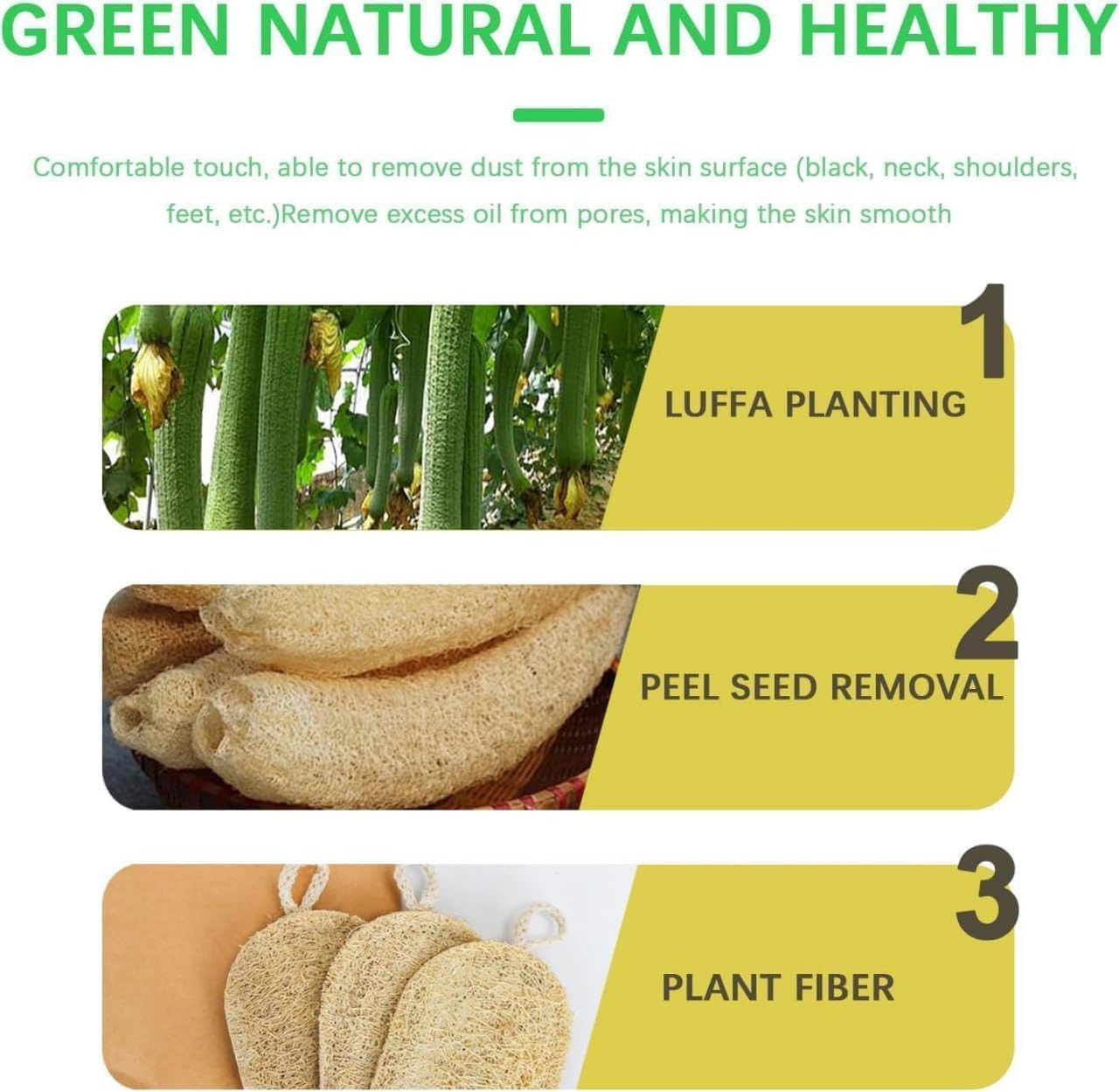 Back to Natural Secrets Everyday Natural Sun Dried Bath Loofah | Body Sponge & Scrubber for Men & Women | Organic Luffa for Bath Shower Skin Exfoliation (Pack of 2)