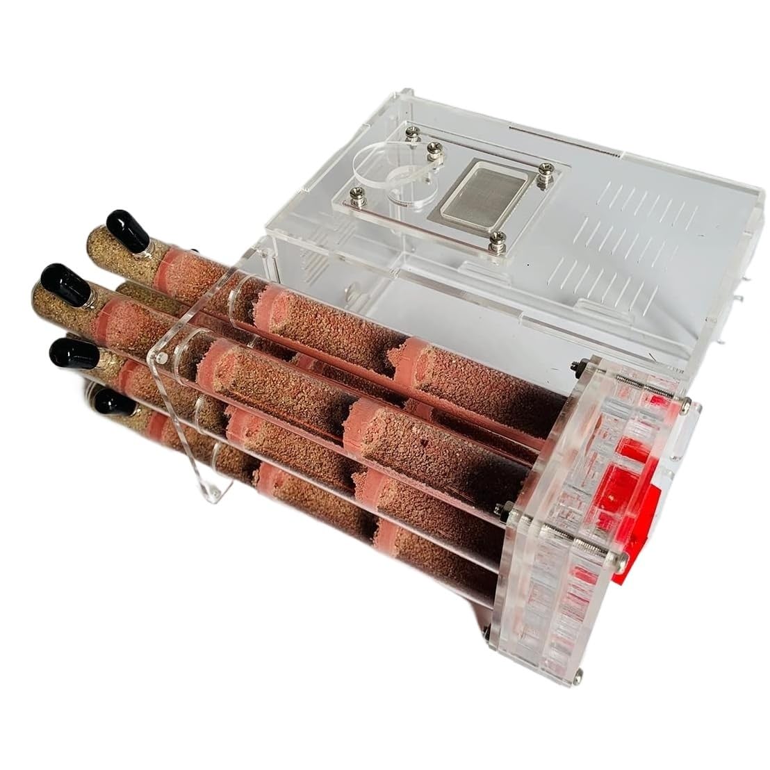 Formicario de Hormigas, Nido de Hormiga acrílico for Bricolaje, Tubo ensayo Vidrio 15mm, 6 Tubos, alimentación hidratante Hormiguero. Caja