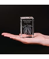 Vista 4 de Ultrassist Modelo 3D de Pulmón Humano de Cristal, Modelo Anatómico Grabado Láser para Decoración de Hogar y Oficina, Regalos para Neumólogos