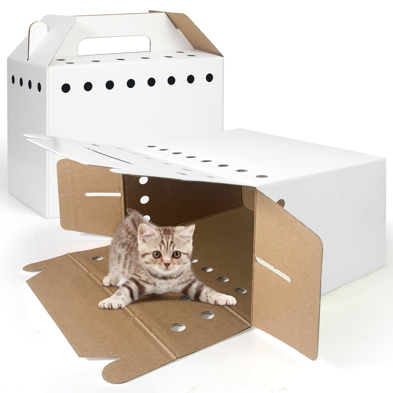 Transportín desechable de cartón para animales pequeños, paquete de 12