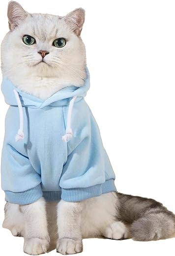 Cat Apparel