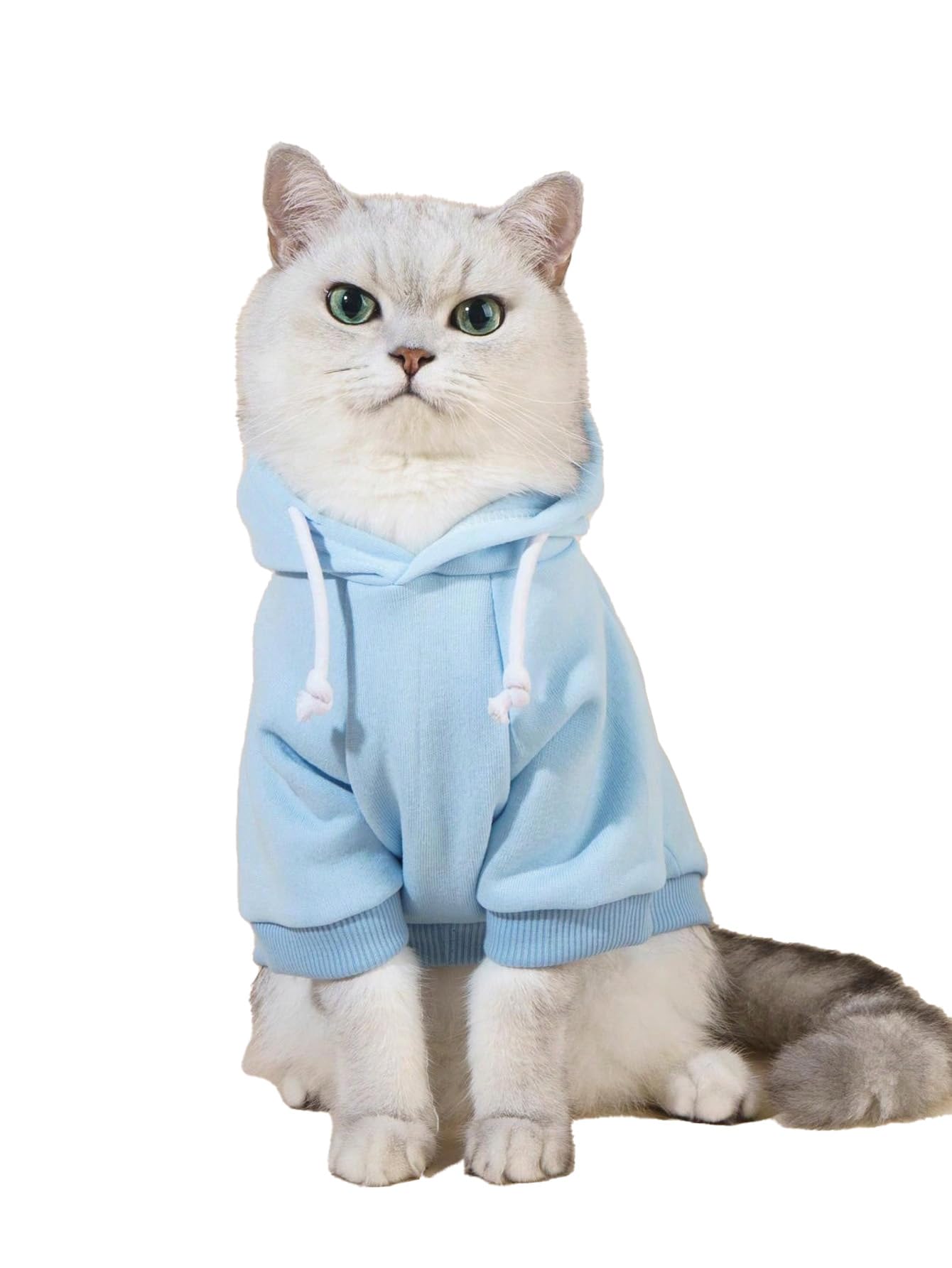 QWINEE Basic Dog Hoodie Sweatshirt Puppy Sweater Warm Cat Costumes Pet Clothes for Chihuahua Puppy Kitten Small Medium Dogs Light Blue Large