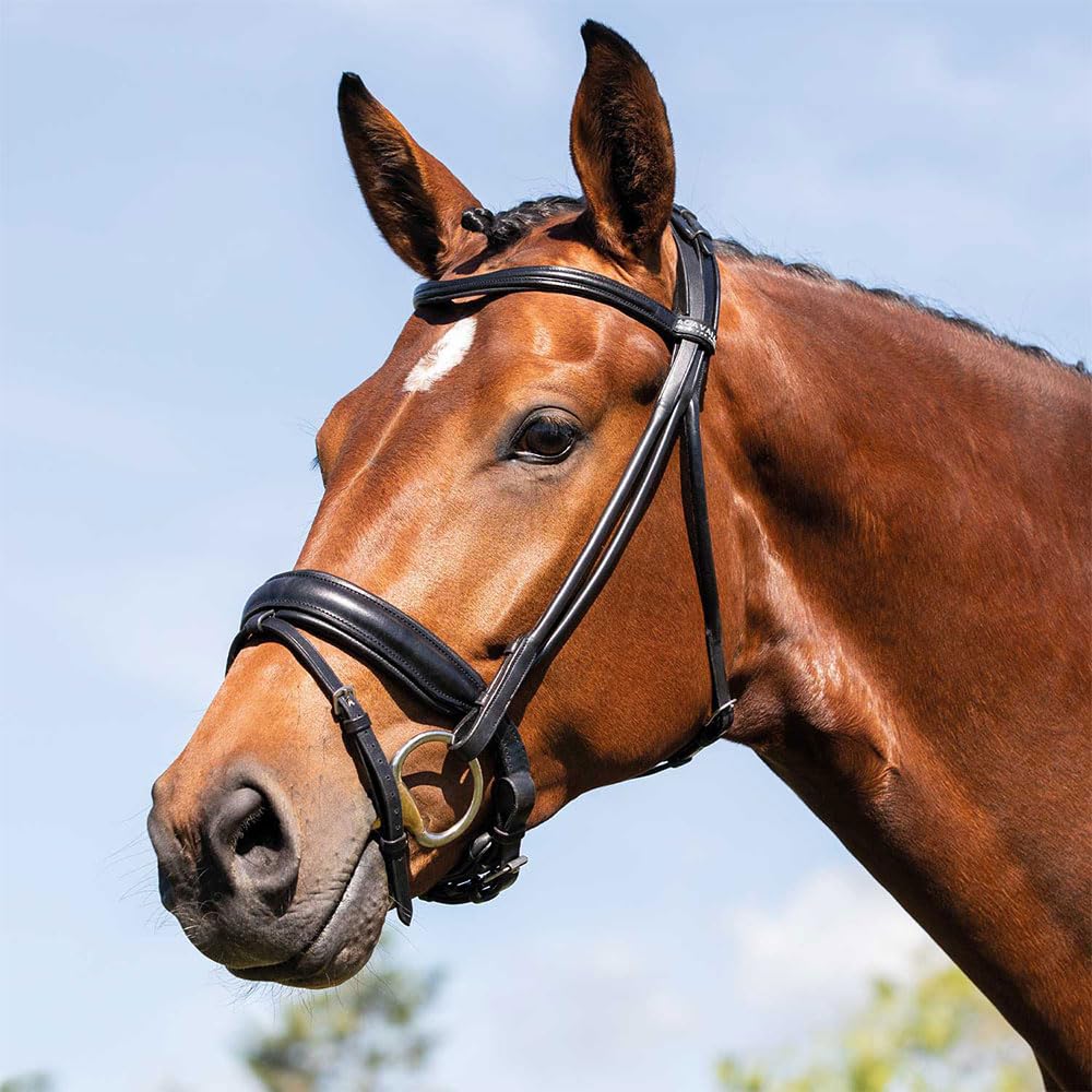 FORNARINA ACAVALLO TESTIERA IN CUOIO ITALIANO, CAVALLO, EQUITAZIONE (full, NERO)