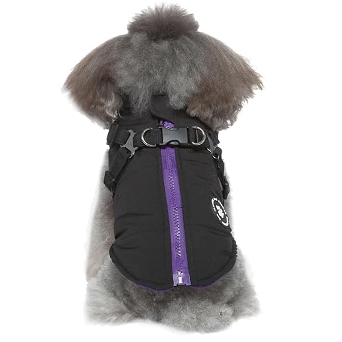 Invierno para Perros pequeños - Arnés para Perros pequeños con Correa Abrigo Invierno para el frío…