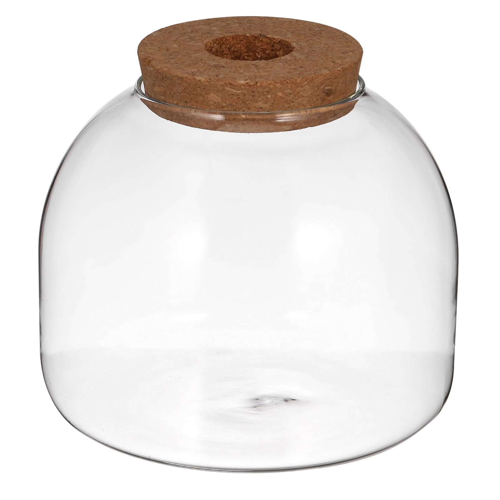 Small Glass Terrarium Ecosystem Container with Cork Lid for Plants