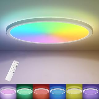 Matane LED Ceiling Light RGB Dimmable with Remote Control, 12 Inch 24W Flush Ceiling Light Panel with Backlight, 3000K-6500K 2400LM for Living Room, Bedroom, Kitchen, Hall Indoor Round
