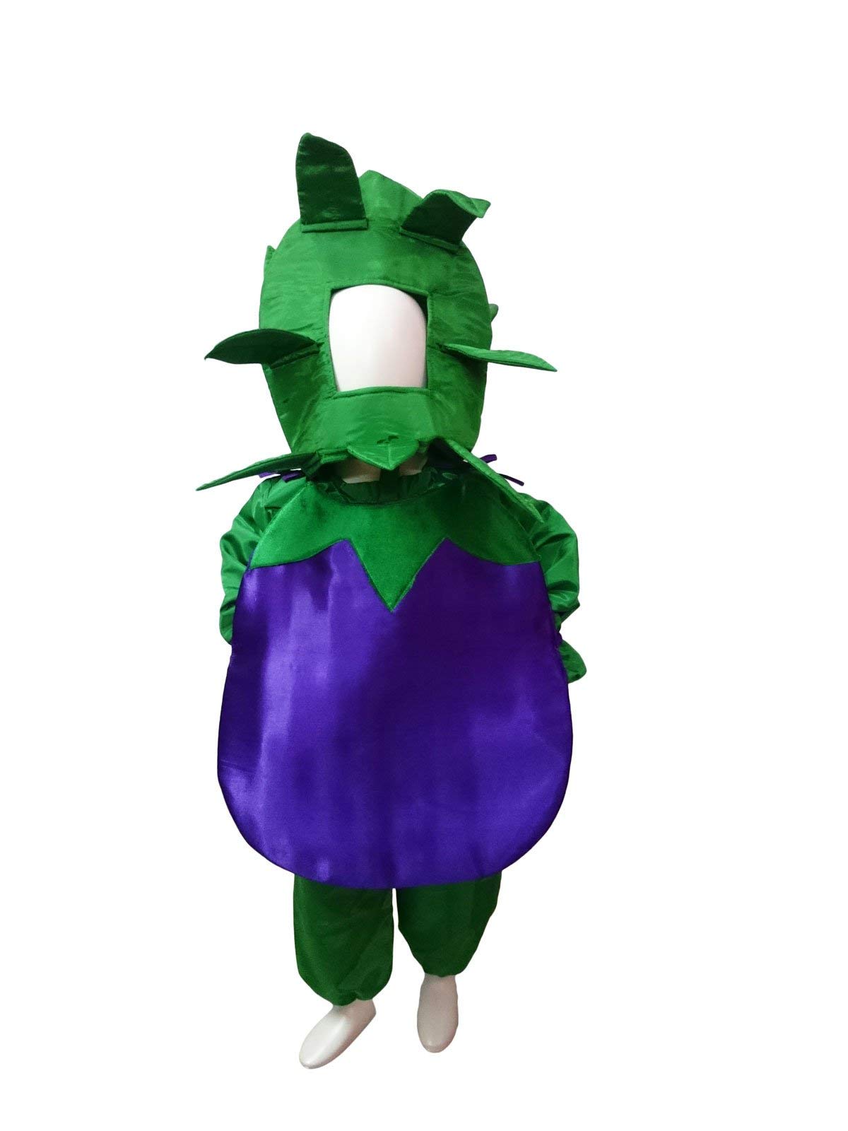 BookMyCostume Brinjal Eggplant Baingan Vegetable Kids Fancy Dress Costume 5-6 years (B08KT978FG) Amazon Price History, Amazon Price Tracker